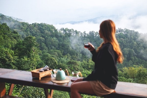 Kopi Luwak Bali Indonesia