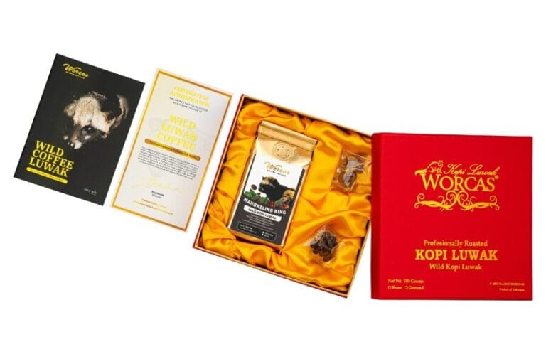Wild Luwak Coffee Mandheling King